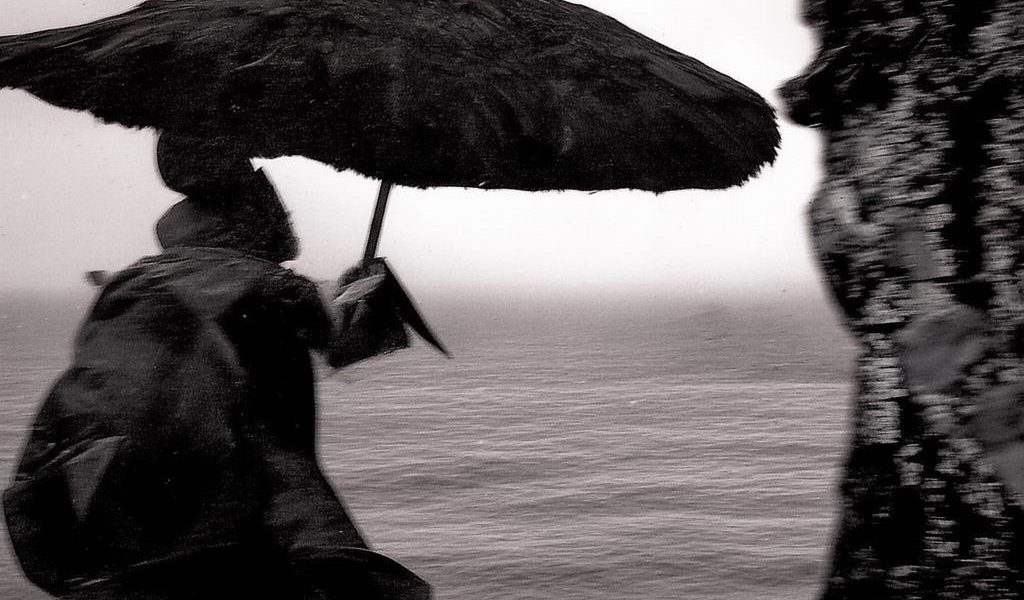 小红书2000赞算火了吗缩略图